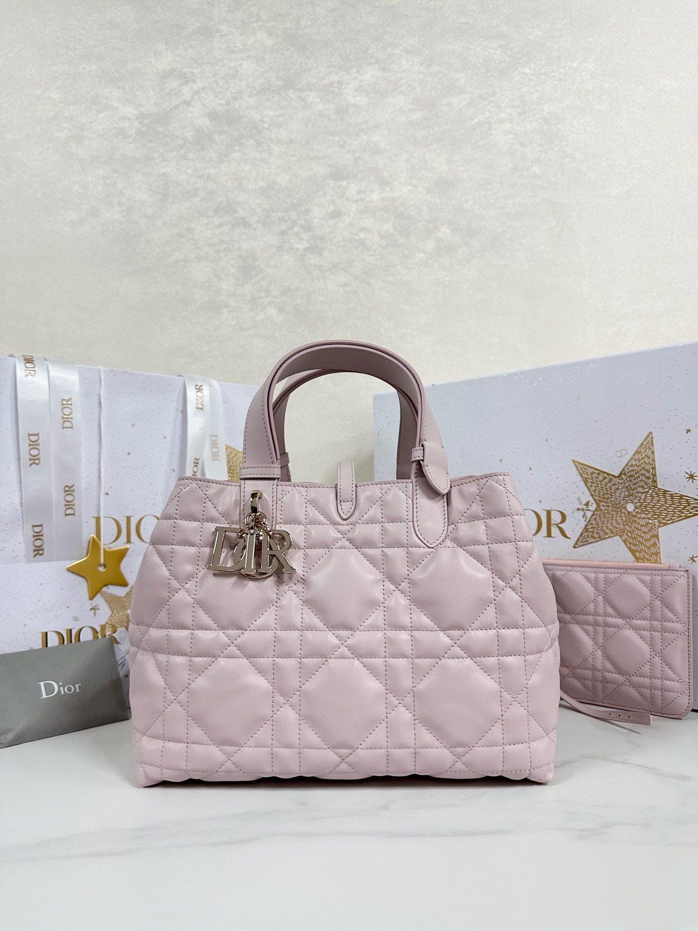 디올 Dior Medium Dior Toujours Bag Pink 28.5cm
